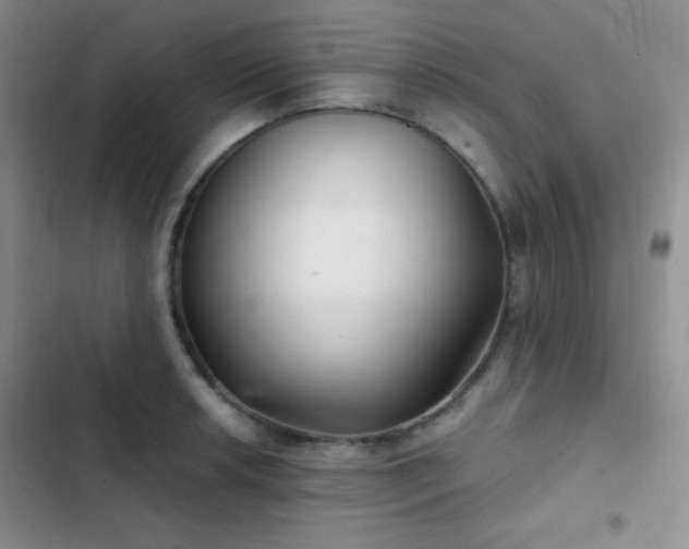 X0000103221042200808281403