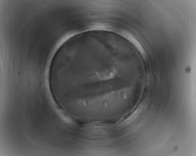 X0000103221043200808281403