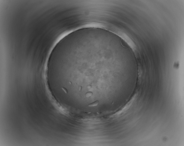 X0000103221044200808281403