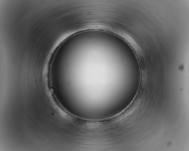 X0000103221046200808281403