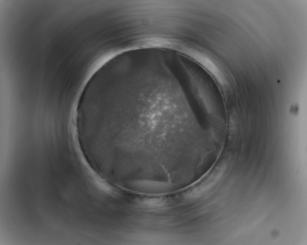 X0000103221047200808281403