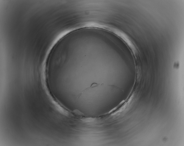 X0000103221048200808281403