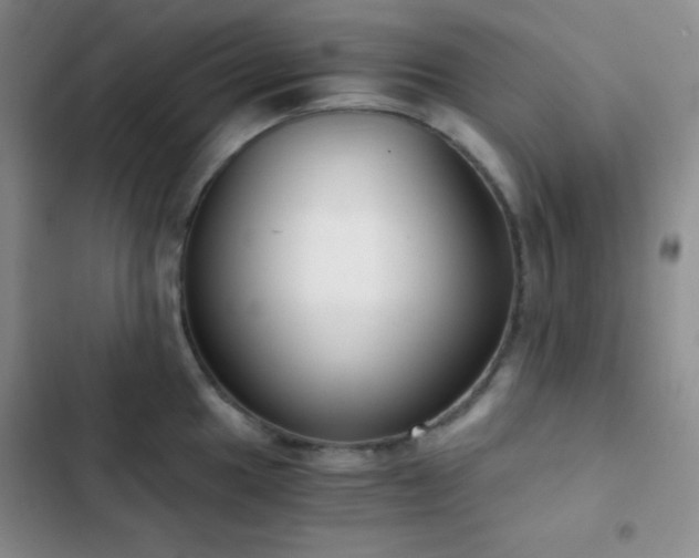 X0000103221049200808281403
