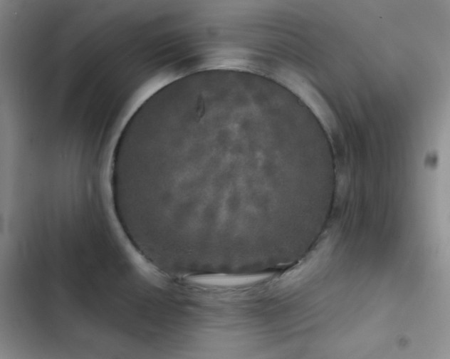X0000103221050200808281403