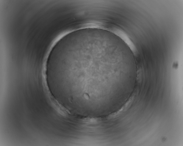 X0000103221051200808281403