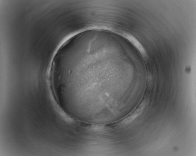 X0000103221052200808281403