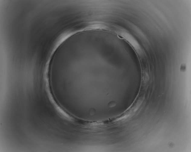 X0000103221055200808281403