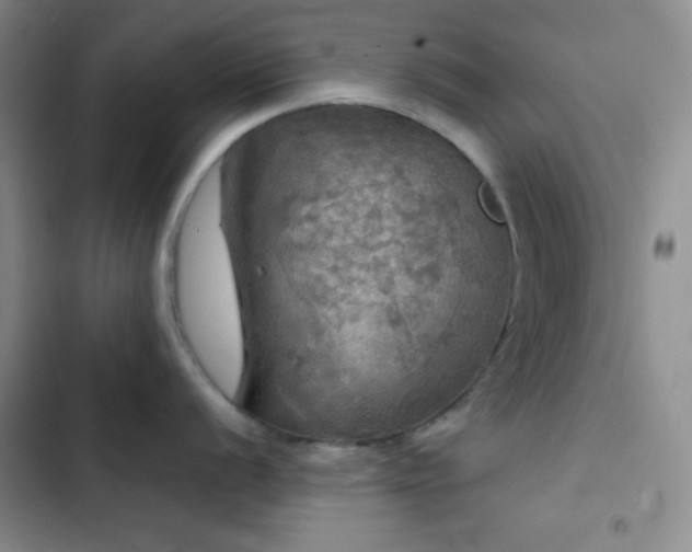 X0000103221056200808281403