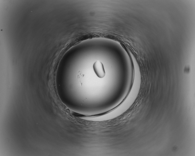 X0000103221057200808281402