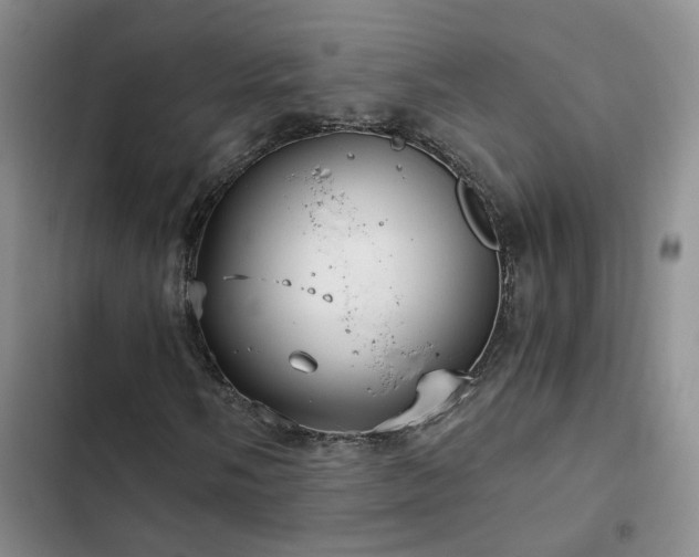 X0000103221058200808281402