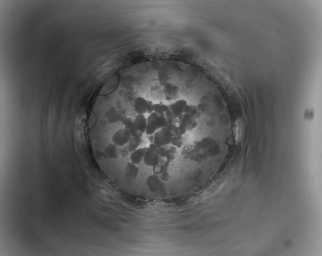 X0000103221059200808281402