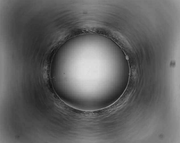 X0000103221060200808281402