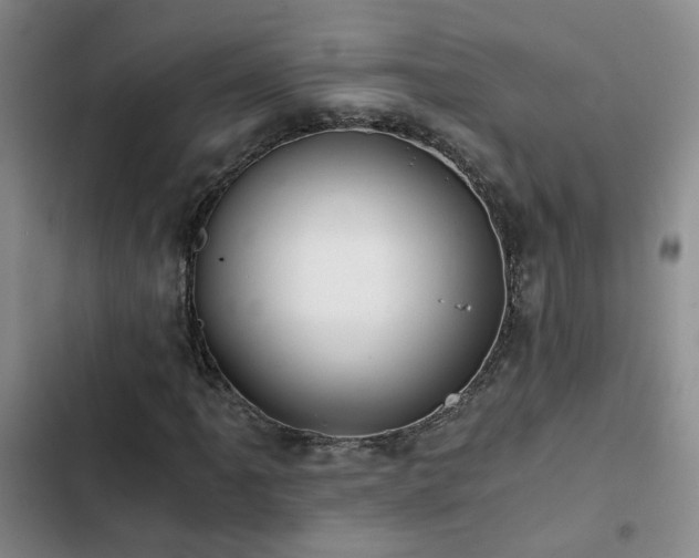 X0000103221061200808281402