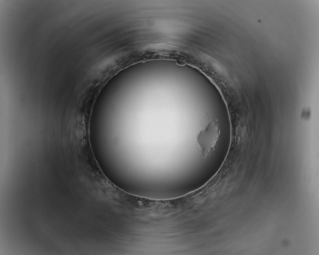 X0000103221062200808281402