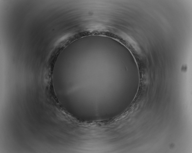 X0000103221063200808281402