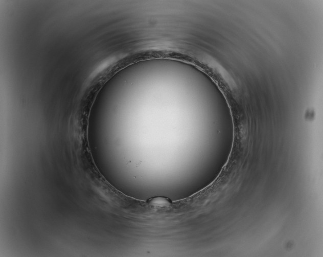X0000103221064200808281402