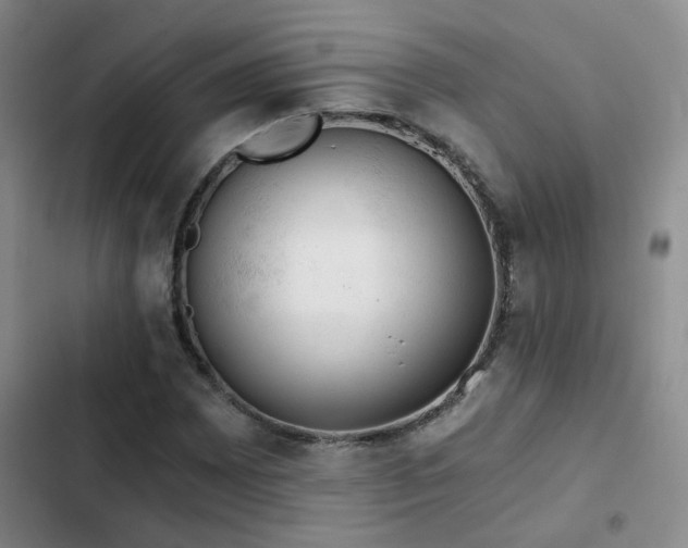X0000103221065200808281402
