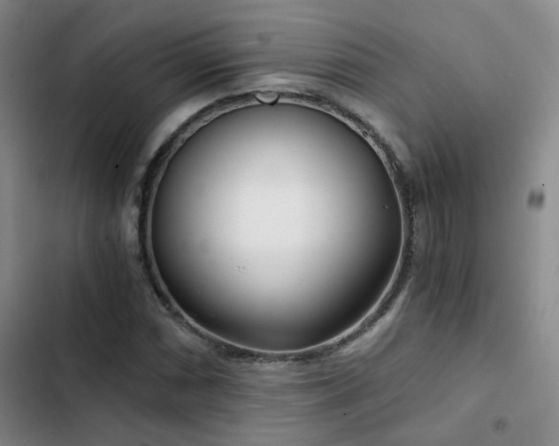X0000103221066200808281402