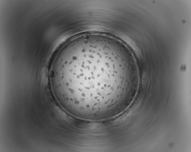 X0000103221067200808281402