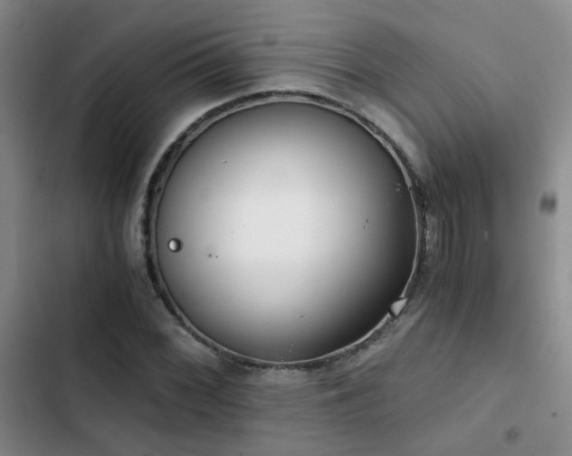 X0000103221068200808281402