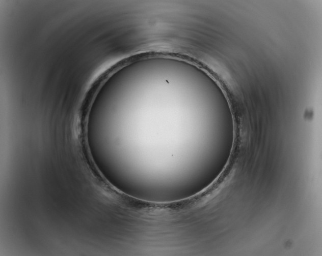 X0000103221070200808281402