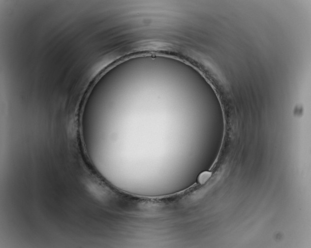 X0000103221073200808281402