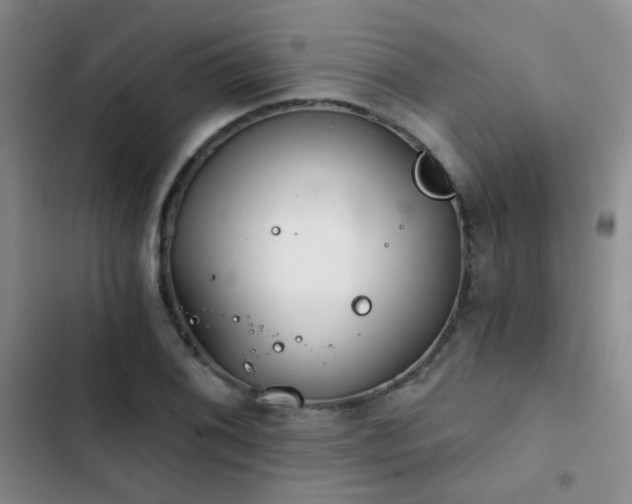 X0000103221076200808281402