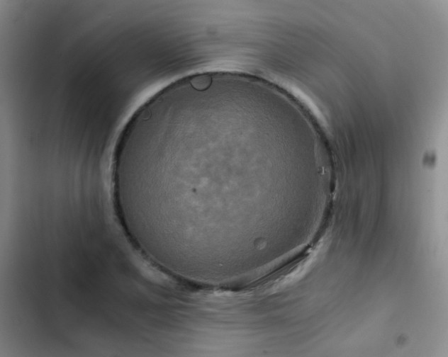 X0000103221077200808281402