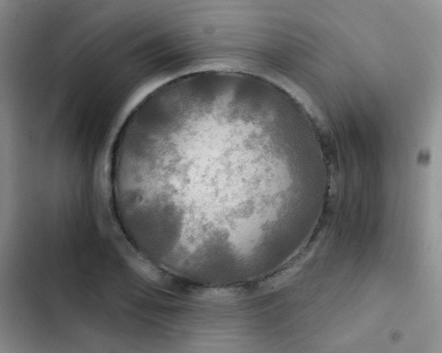 X0000103221078200808281402