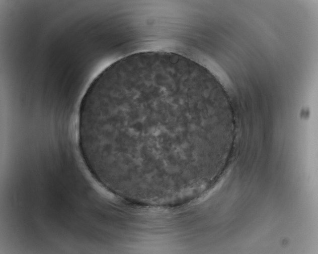 X0000103221079200808281402