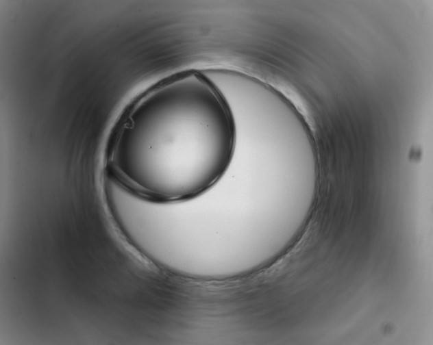 X0000103221080200808281402