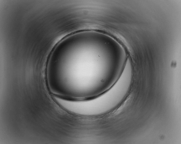 X0000103221081200808281402