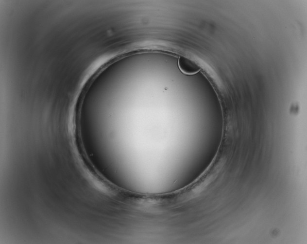 X0000103221082200808281402