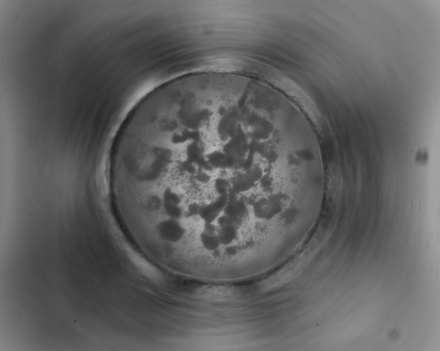 X0000103221083200808281402