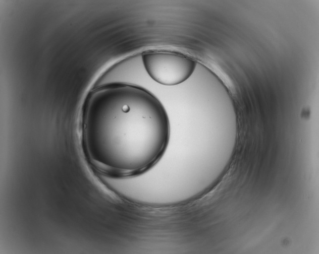 X0000103221084200808281402
