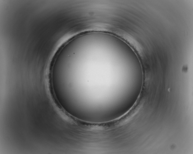 X0000103221085200808281402