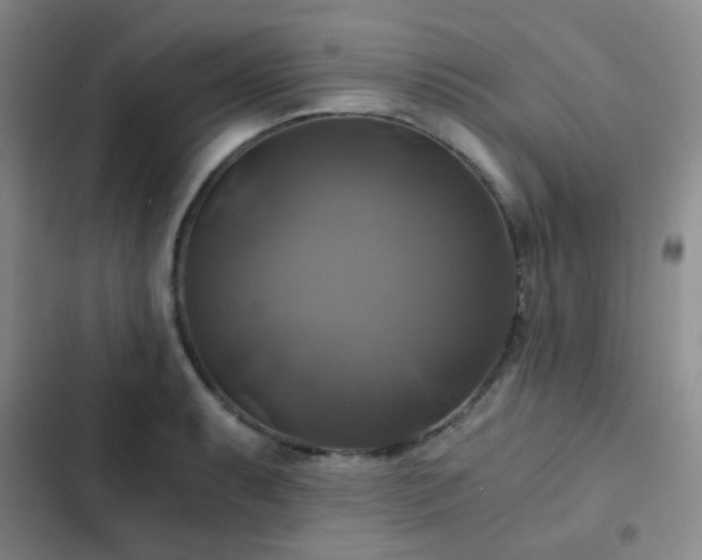 X0000103221087200808281402