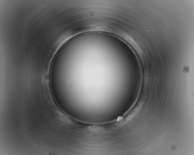 X0000103221089200808281402