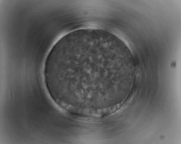 X0000103221091200808281402