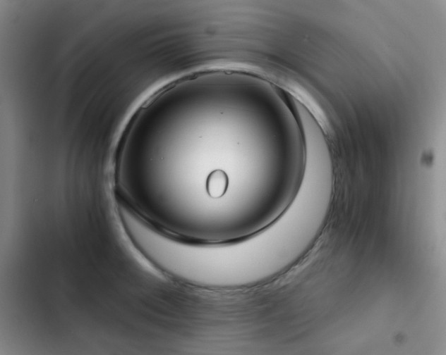 X0000103221092200808281402
