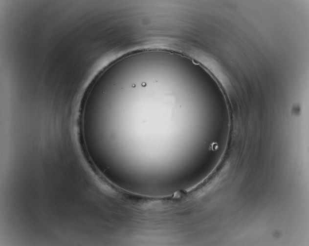 X0000103221093200808281402