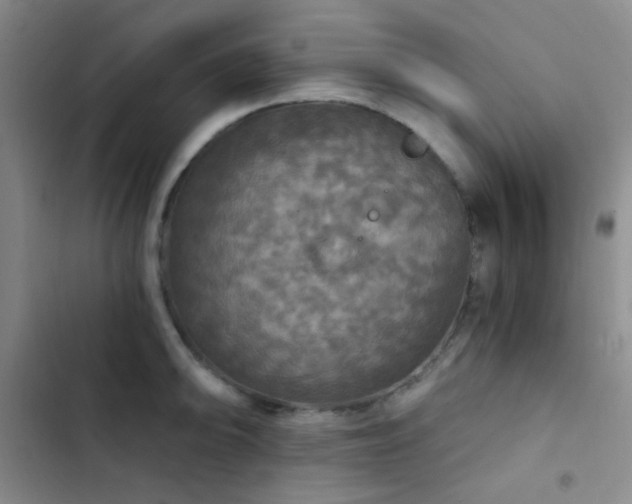 X0000103221094200808281402