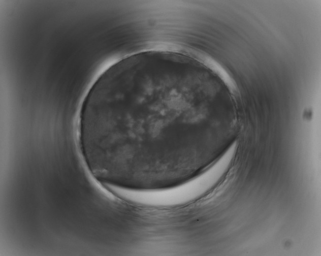 X0000103221095200808281402