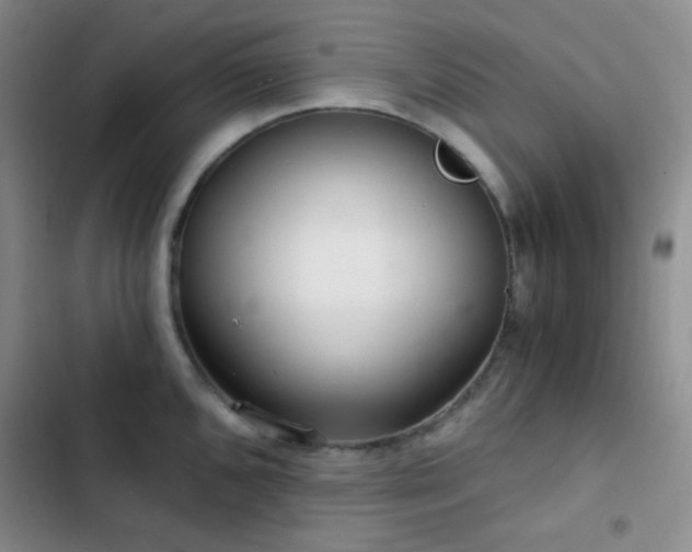 X0000103221096200808281401