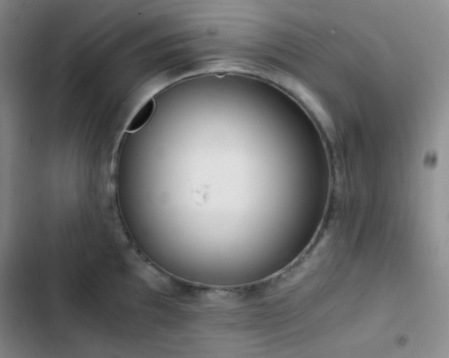 X0000103221097200808281401