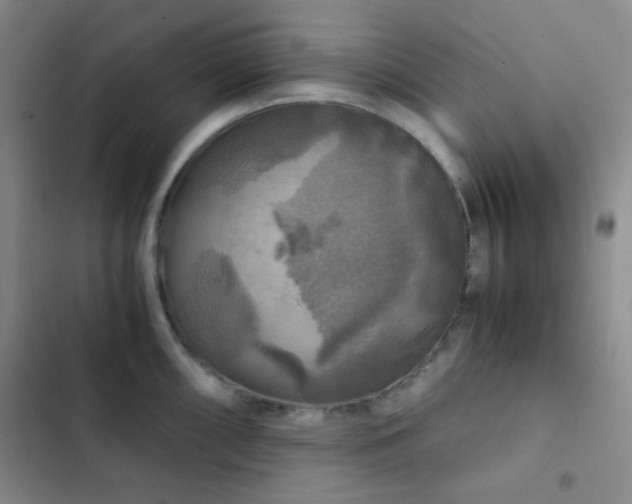 X0000103221098200808281401