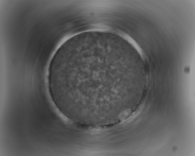 X0000103221099200808281401