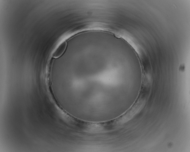 X0000103221101200808281401