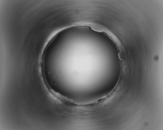 X0000103221102200808281401