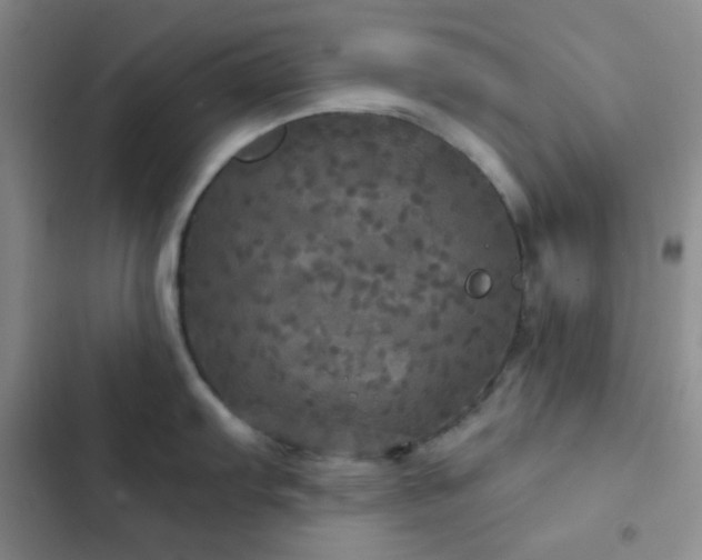 X0000103221103200808281401